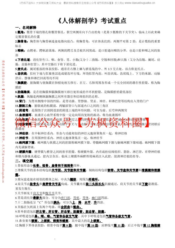 人体解剖学